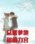 总裁爹地超给力宫夜宵