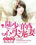 独家蜜婚：陆少的心尖宠妻(又名:独家蜜婚)